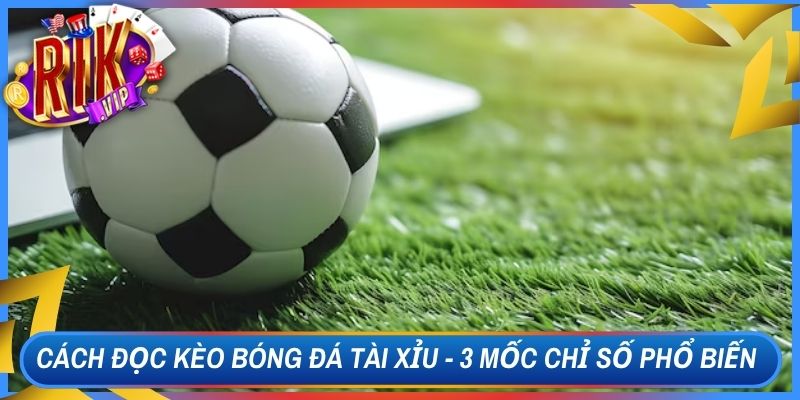 Cách Đọc Kèo Bóng Đá Tài Xỉu - 3 Mốc Chỉ Số Phổ Biến